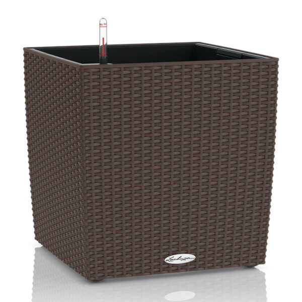 CUBE Cottage Mocha